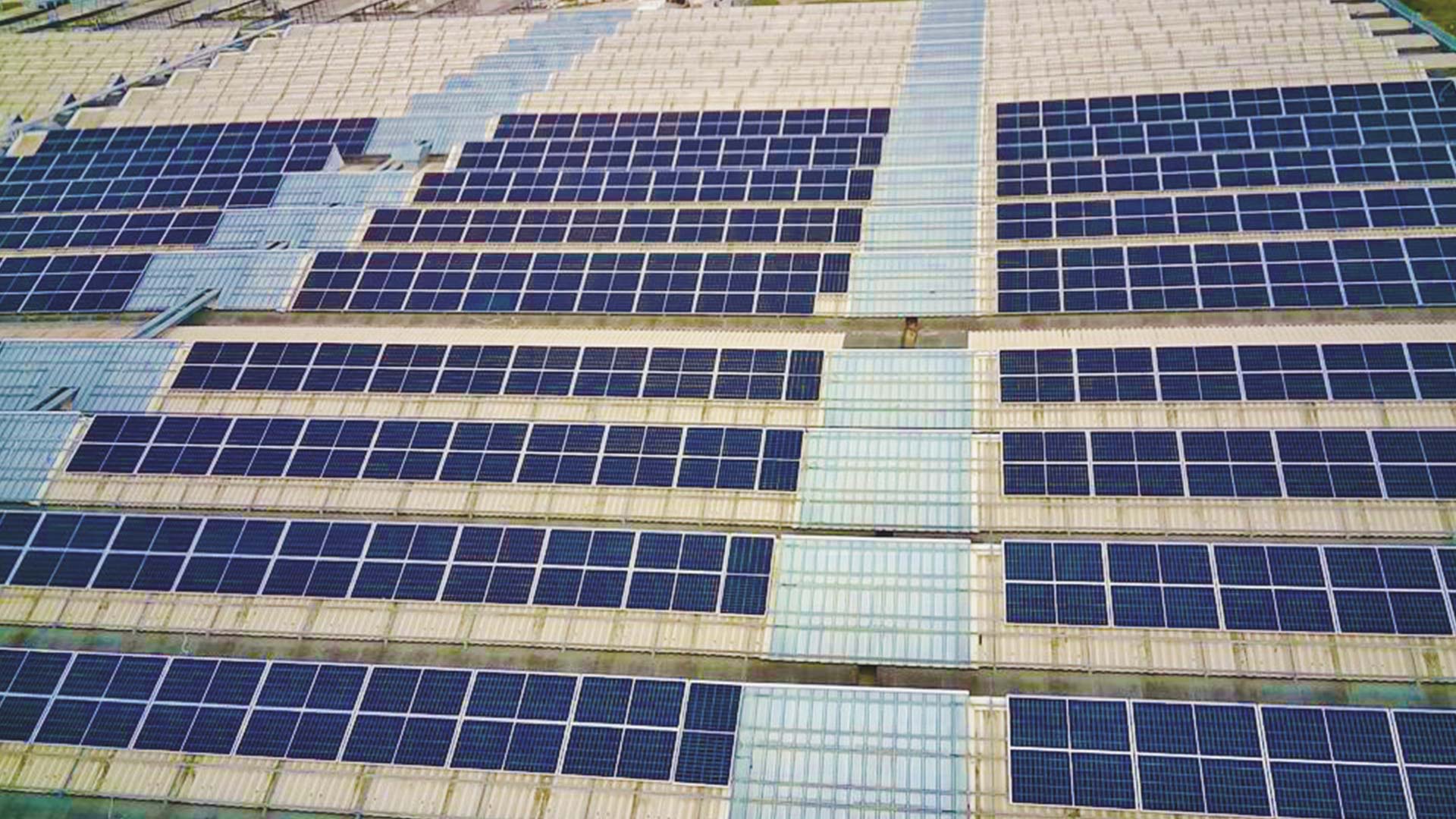 portfolio-Revamping-1MW-5