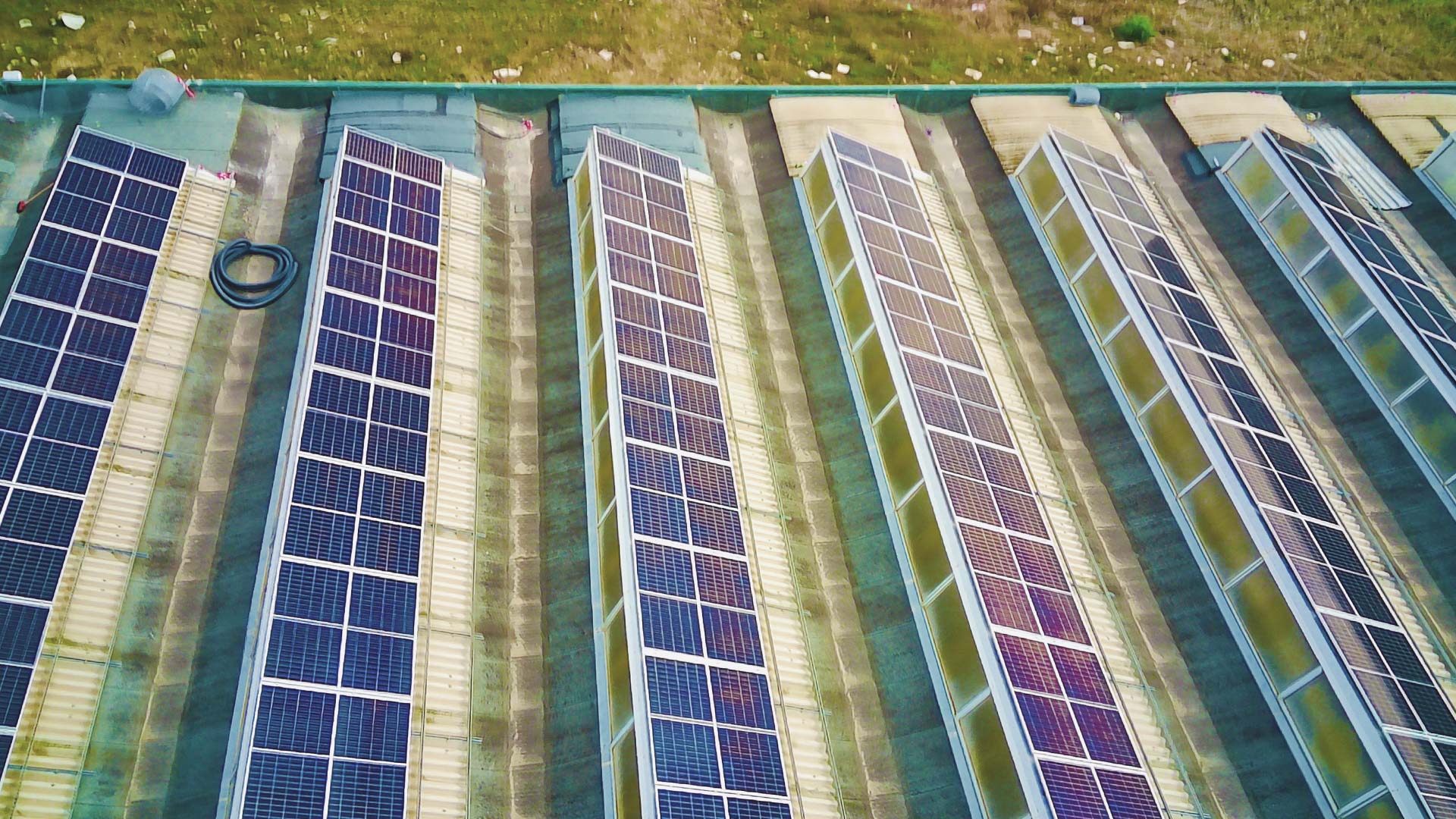 portfolio-Revamping-1MW-6